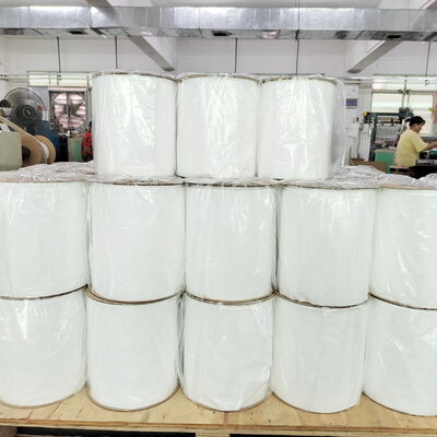 Customizable Size Heat Seal Recyclable Pre Opened Poly Bags LDPE Poly Roll Bags for Auto Packaging